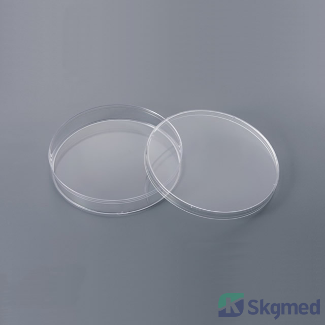 Petrisk&aring;l 120x20mm, Cell Cuture