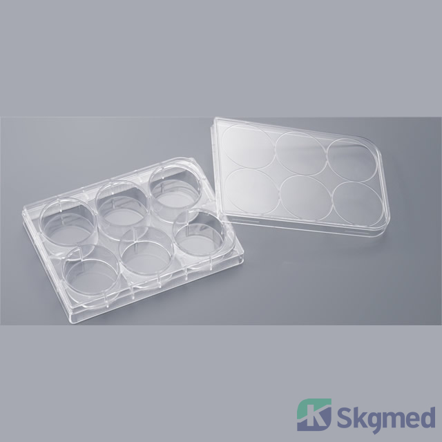 Kulturplatte 6 Vertiefungen