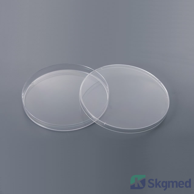 Piastra Petri 150x15mm, coltura cellulare