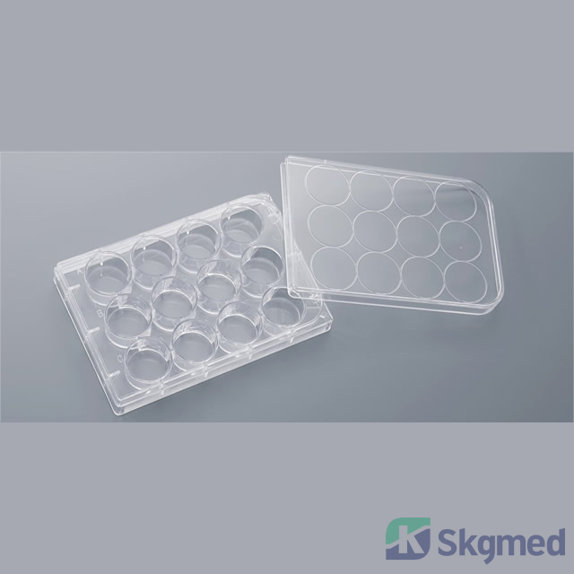 Telaga Budaya Plat 12