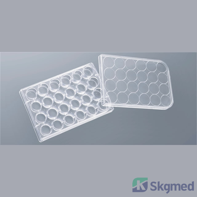 ယဉ်ကျေးမှုပန်းကန် 24 ရေတွင်း