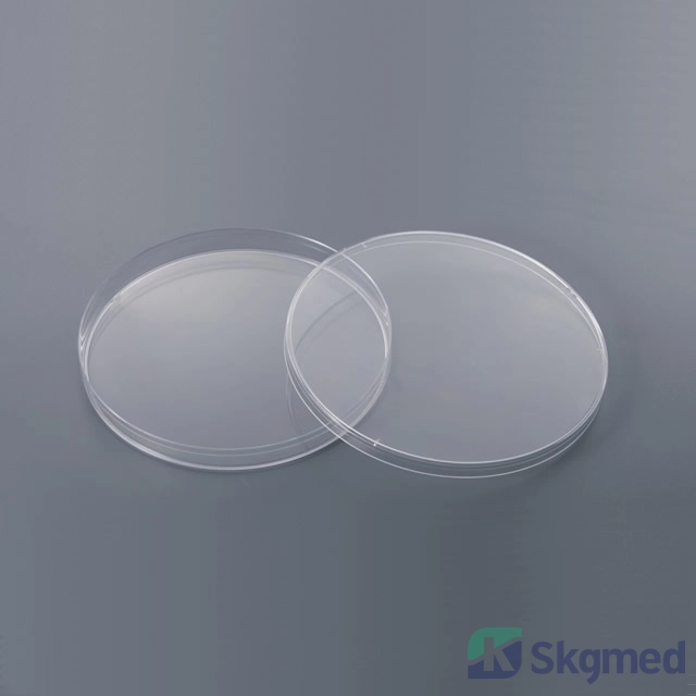 Petrischaal versus. Standaardcultuurplaten: belangrijkste verschillen