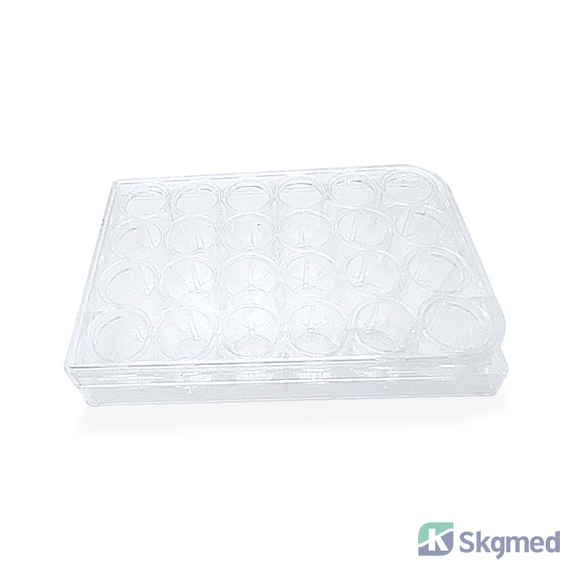 Kultivačn&iacute; destička 24 jamek